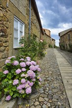 Narrow street with flowers and old stone houses