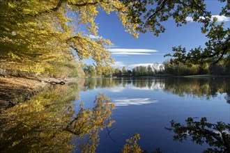 Autumn trees on the shore of the Lengwil pond