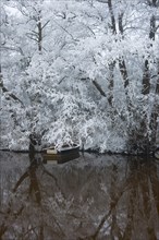 Brook in Hoarfrost