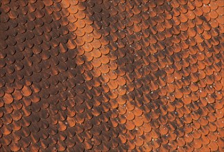 Detail of a red old tiled roof