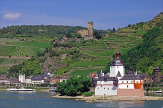 Pfalzgrafenstein Castle in the Rhine and Gutenfels Castle