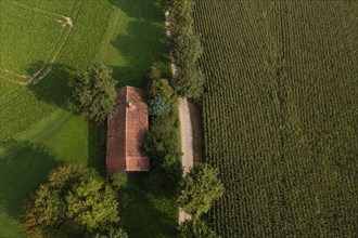 Old house roof in an agricultural landscape with maize field and gravel path from above