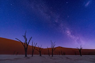 Starry sky with Milky Way over Deadvlei