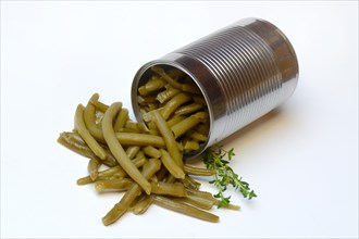 Green beans in tin can with savory