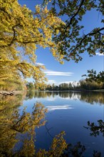 Autumn trees on the shore of the Lengwil pond