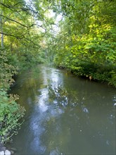 River Ilm with riparian vegetation