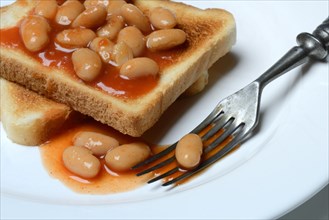 White beans with tomato sauce on toast