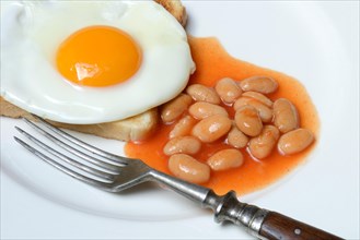 White beans with tomato sauce and fried egg on toast