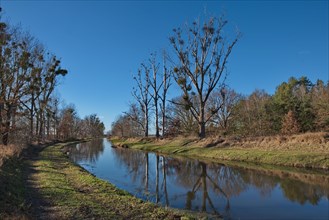 River Nieplitz in the Nuthe-Nieplitz nature Park near Stangenhagen