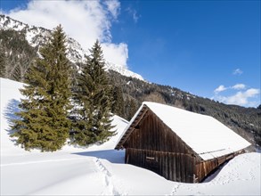 Winter landscape