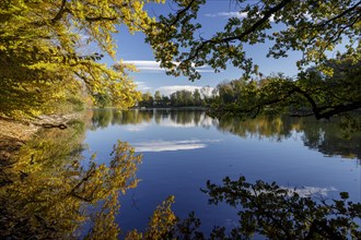 Autumn trees on the shore of the Lengwil pond