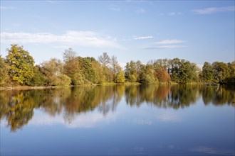 Autumn trees on the shore of the Lengwil pond