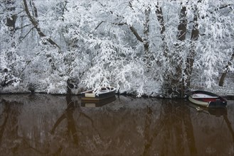 Brook in Hoarfrost