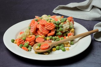 Frozen vegetables on plate with cooking spoon