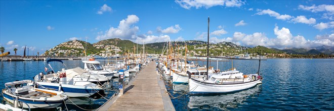 Marina harbour with boats holiday travel town on Majorca panorama in Port d'Andratx