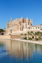 Cathedral Catedral de Palma La Seu Church Architecture Vacation Travel Travel in Palma de Majorca