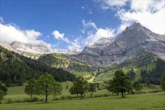 Mountain landscape with maple trees in the alpine pasture area Eng in front of Spritzkarspitze