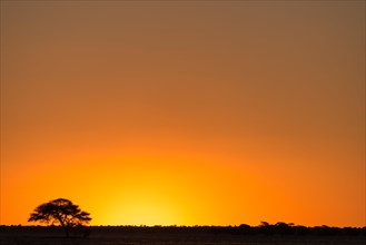 Play of colours after sunset in the Central Kalahari Game Reserve