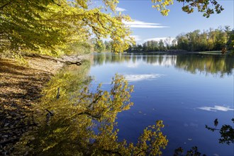 Autumn trees on the shore of the Lengwil pond