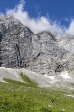 Alpine pasture area Enger Grund with cows