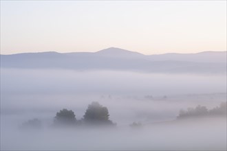 Morning fog in the Bavarian Forest