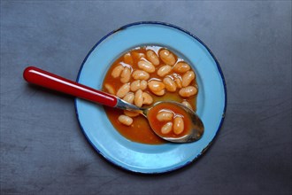 White beans with tomato sauce in plate with spoon