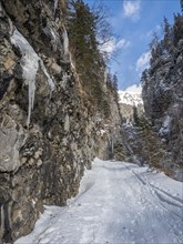 Devil's Gorge in winter