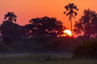 Sunset over the Okavango Delta