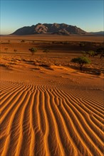 Wind-sculpted structures in the sand of the Namib Desert with Losberg Mountain in the background after sunrise