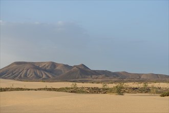 El Jable shifting sand dune area