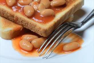 White beans with tomato sauce on toast