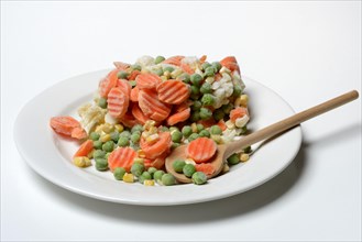 Frozen vegetables on plate with cooking spoon