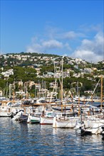 Marina harbour with boats holiday travel town in Majorca in Port d'Andratx