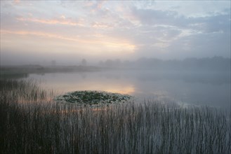 Heidesee at sunrise