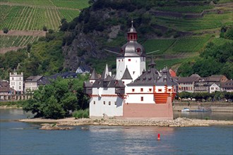 Pfalzgrafenstein Castle in the Rhine and vineyards