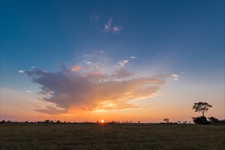 Sunset over the Okavango Delta