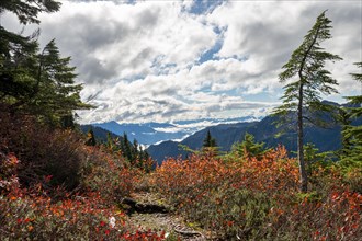 Hiking trail at Huntoon Point