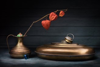 Still life with physalis in copper vase