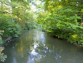 River Ilm with riparian vegetation