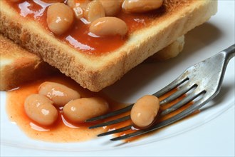 White beans with tomato sauce on toast