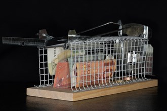 Euro coins and paper money lying in a live trap for mice