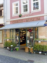 Ginkgo Museum and Shop