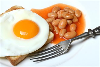 White beans with tomato sauce and fried egg on toast
