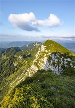 Break-off edge at the summit