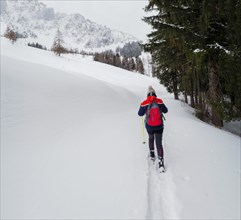 Snowshoe hiker