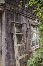 Old stepladder leaning against exterior wall of old rustic wood plank cabin in summer