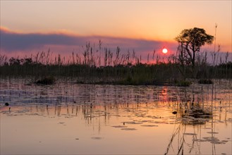 Sunset over the waterscape of the Okavango Delta