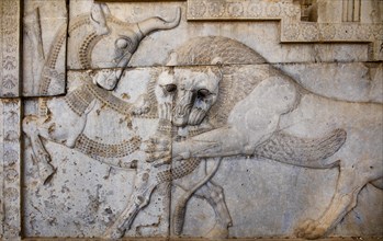 Relief detail of the delegation of nations bringing gifts to Darius on the steps of Apadana Palace