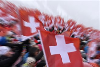 Mop-up picture Swiss fans with flags