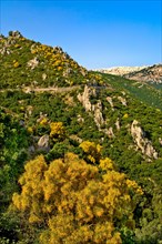 Parco Nazionale del golfo di Orosei